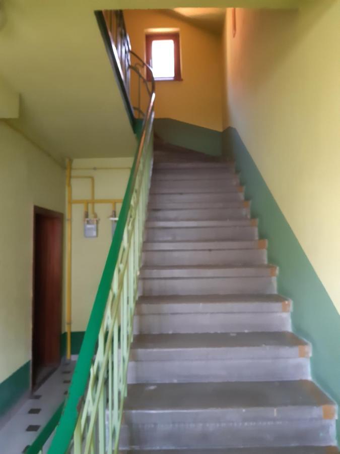 Bialy Apartament 波兰尼卡-兹德鲁伊 外观 照片